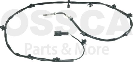 OSSCA 49638