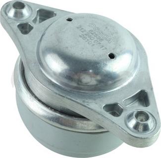 OSSCA 62536