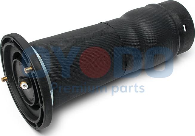 Oyodo 40A0010-OYO - Pneimoatsperes statnis
