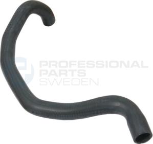 Professional Parts 87432428 - RADIATORA CAURULE