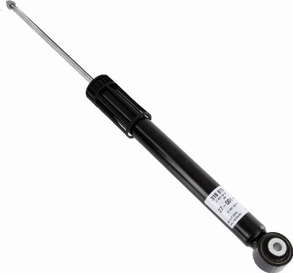 SACHS 318819