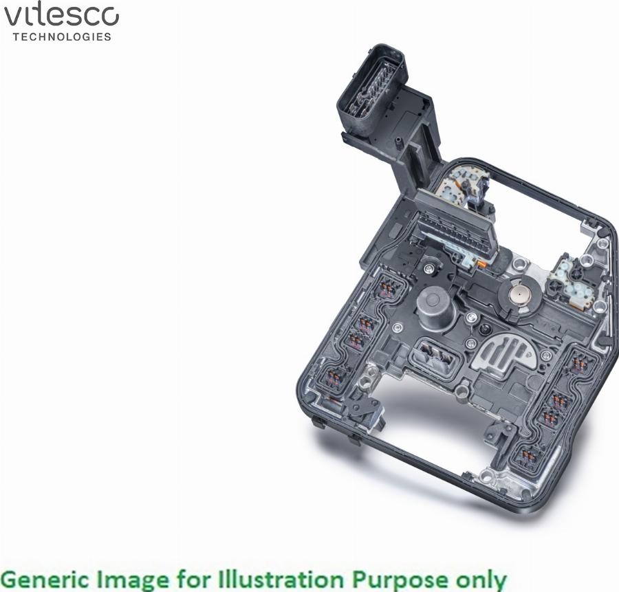 VITESCO 590001010