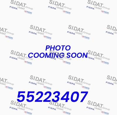 Sidat BH020096