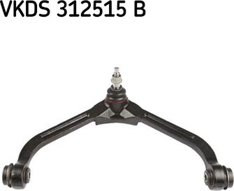 SKF VKDS 312515 B - AMGK3198