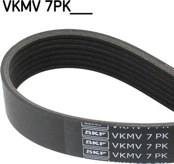 SKF VKMV 7PK1922 - 7PK1922 SIKSNA