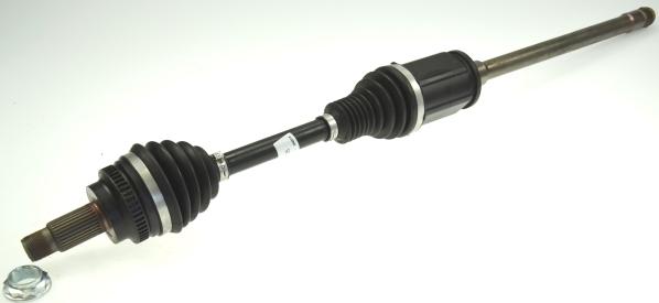 Spidan 25428 - 305651 PUSASS P-1