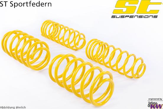 ST Suspensions 28210336 - ATSPERES ST-Suspension