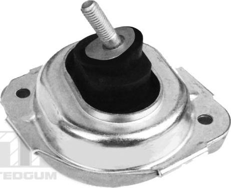 Tedgum 00088550 - 22 11 3