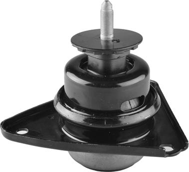 Tedgum TED33753