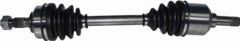 BGA DS1410L