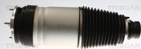 Triscan 8720 81101 - Auto Part