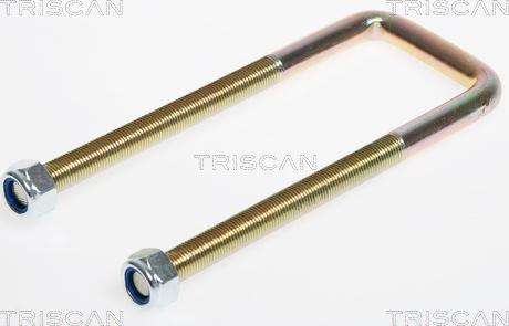 Triscan 8765 100001 - Auto Part