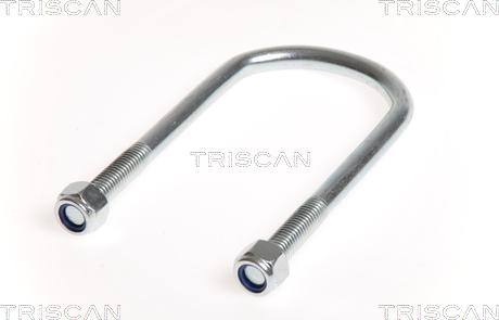 Triscan 8765 100011 - Auto Part