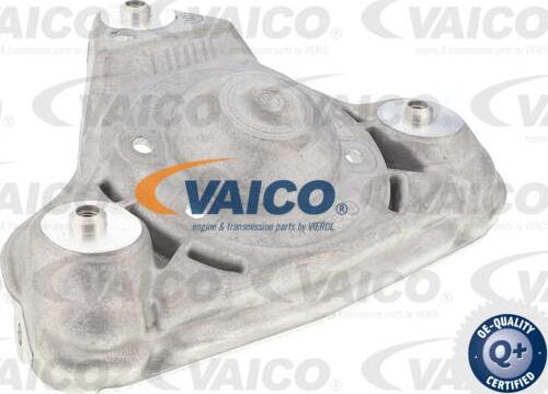 VAICO V10-6495 - AMORTIZATORA STATNES STIP