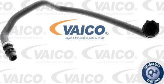 VAICO V20-0891