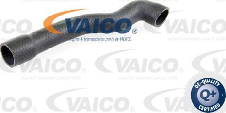 VAICO V20-1239