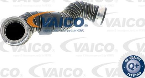 VAICO V30-1775 - Pūtes sist. gaisa