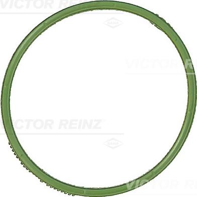 Victor Reinz 71-18338-00 - IEPLŪDES KOL