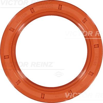 Victor Reinz 81-25789-00 - 48x66.65x10