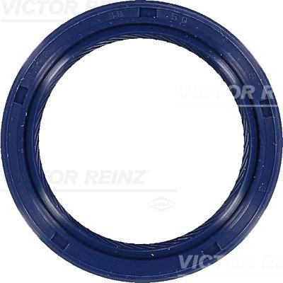 Victor Reinz 81-53508-00 - BLĪVSLĒGS 38X50X6