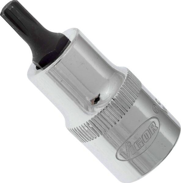 Vigor V2203 - 1-2 RIBE M6