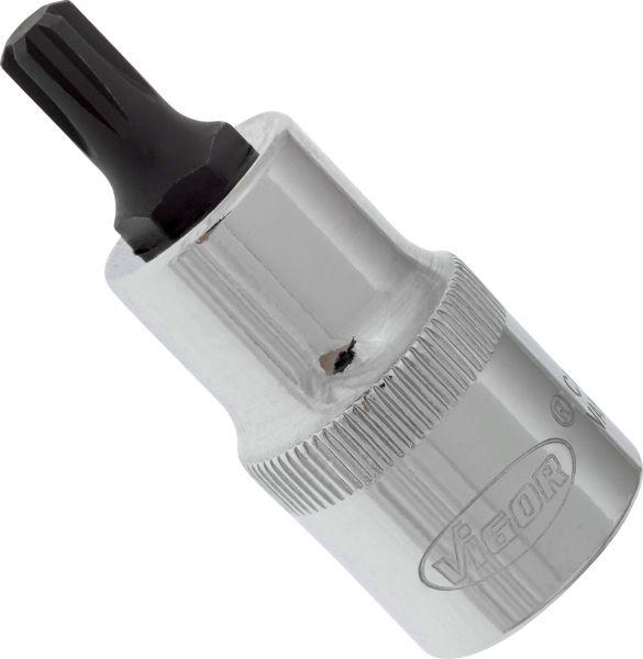 Vigor V2204 - 1-2 RIBE M7