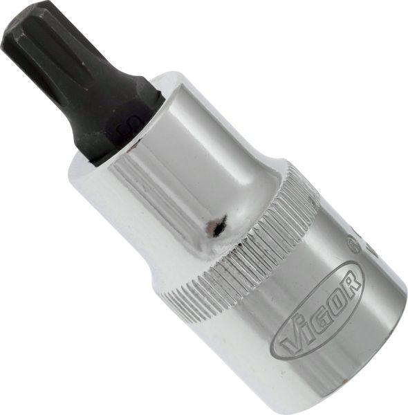 Vigor V2205 - 1-2 RIBE M8