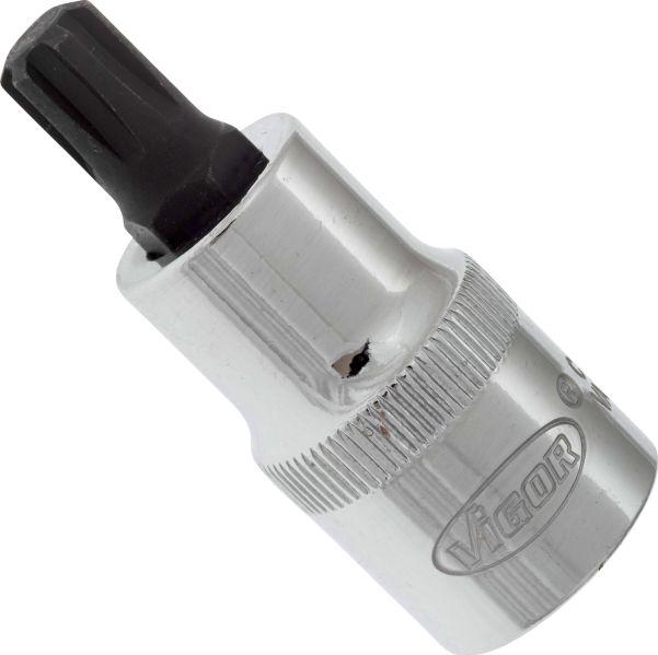 Vigor V2206 - 1-2 RIBE M9