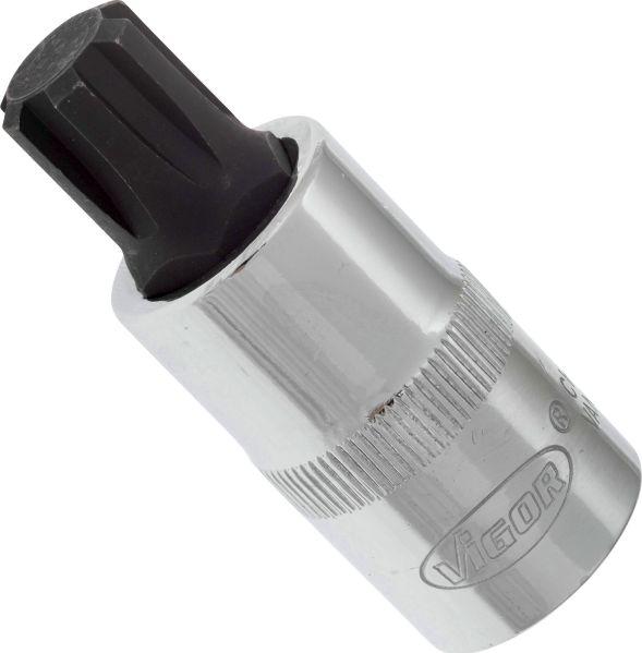 Vigor V2209 - 1-2 RIBE M13