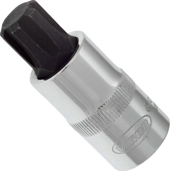Vigor V2210 - 1-2 RIBE M14