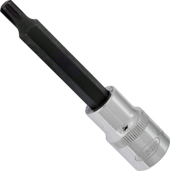 Vigor V2213 - 1-2 RIBE M7