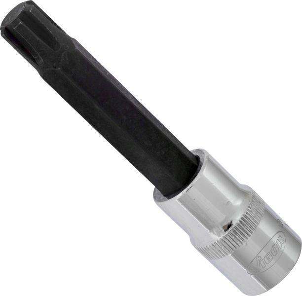 Vigor V2217 - 1-2 RIBE M12