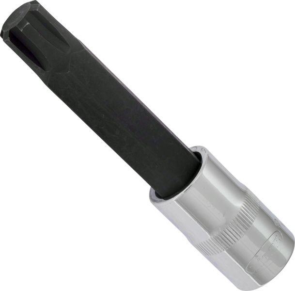 Vigor V2219 - 1-2 RIBE M14