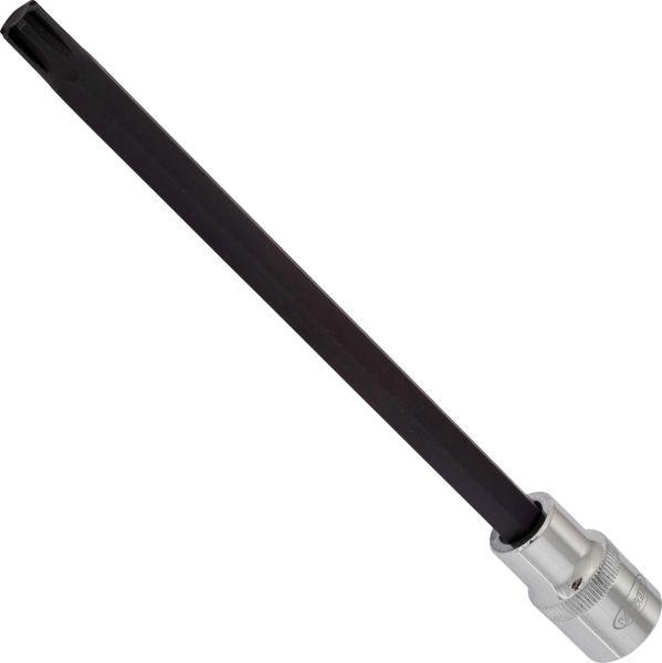 Vigor V2229 - 1-2 RIBE M10