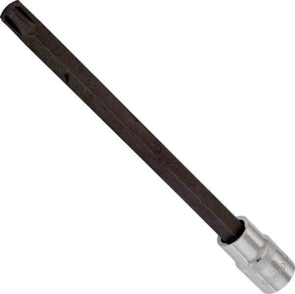 Vigor V2231 - 1-2 RIBE M12