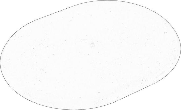VAG 4F0809967B - Aizbāznis 4F0809967B
