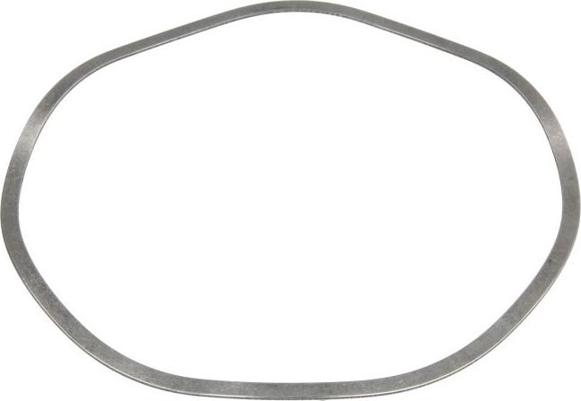 ZF 0501325499 - ZF atsperpaplāksne 137x146